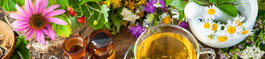 Mörser mit frischen Heilpflanzen, Kamille und ätherischen Ölen auf Holz